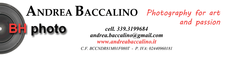 Andrea Baccalino Photography